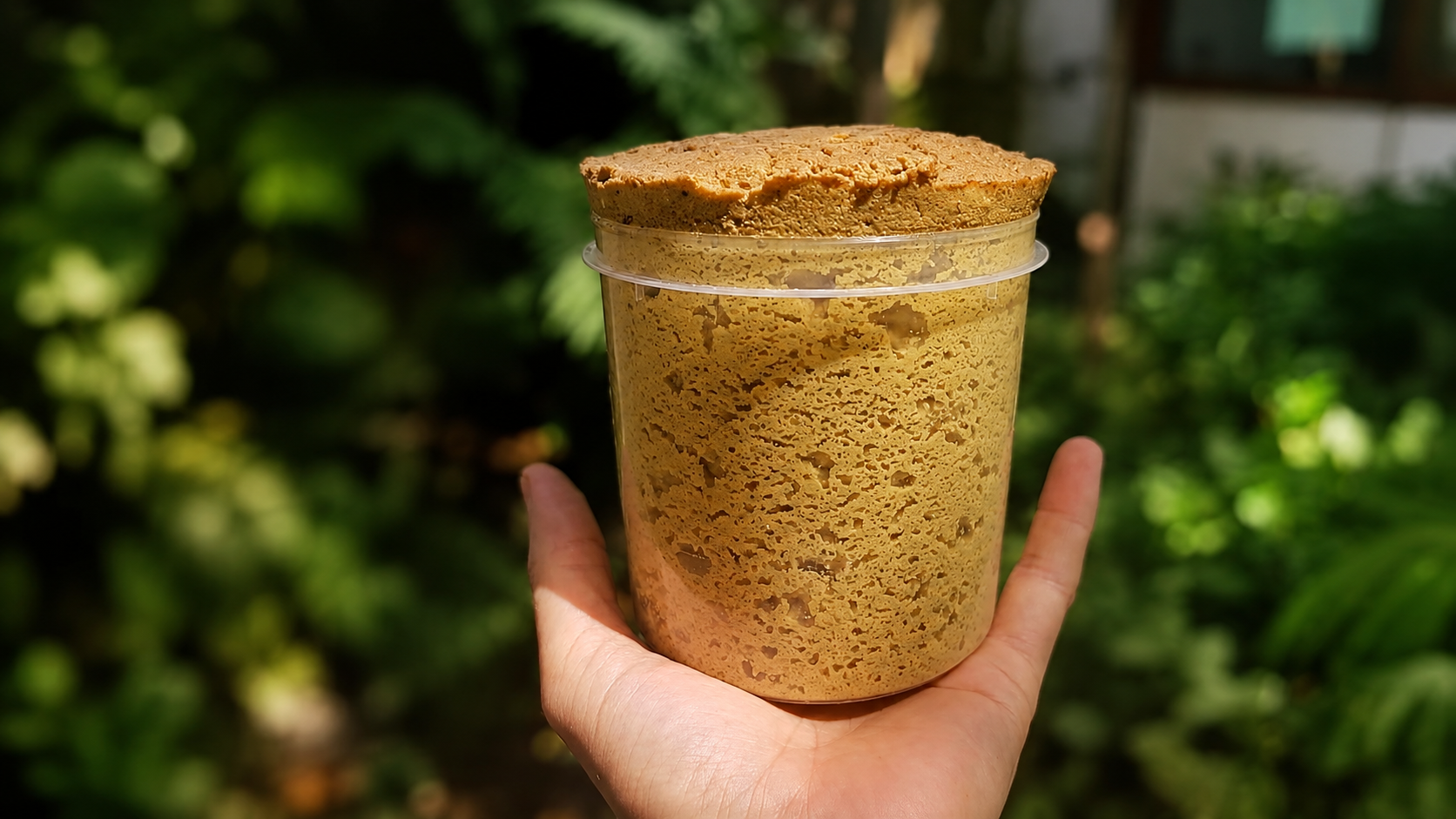 Patê de castanha-de-caju fermentada