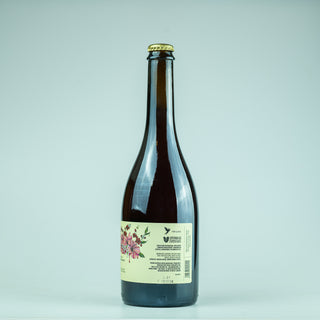 Cerveja saison com café cereja - Trilha e Fermentados 2024 - 750ml