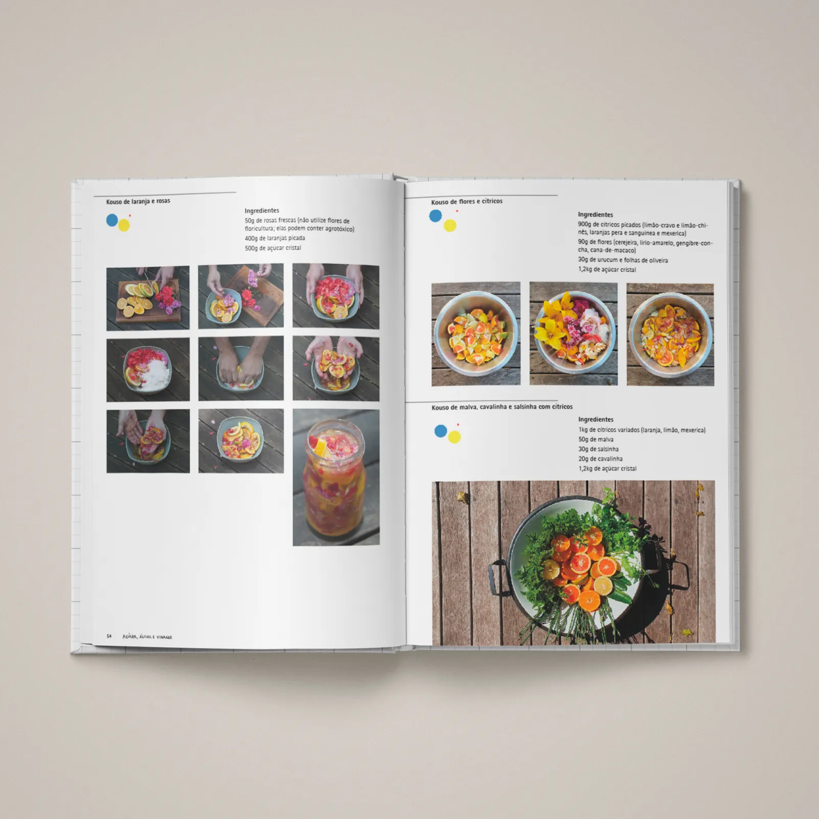 Livro Açúcar, Álcool e Vinagre - foto 6