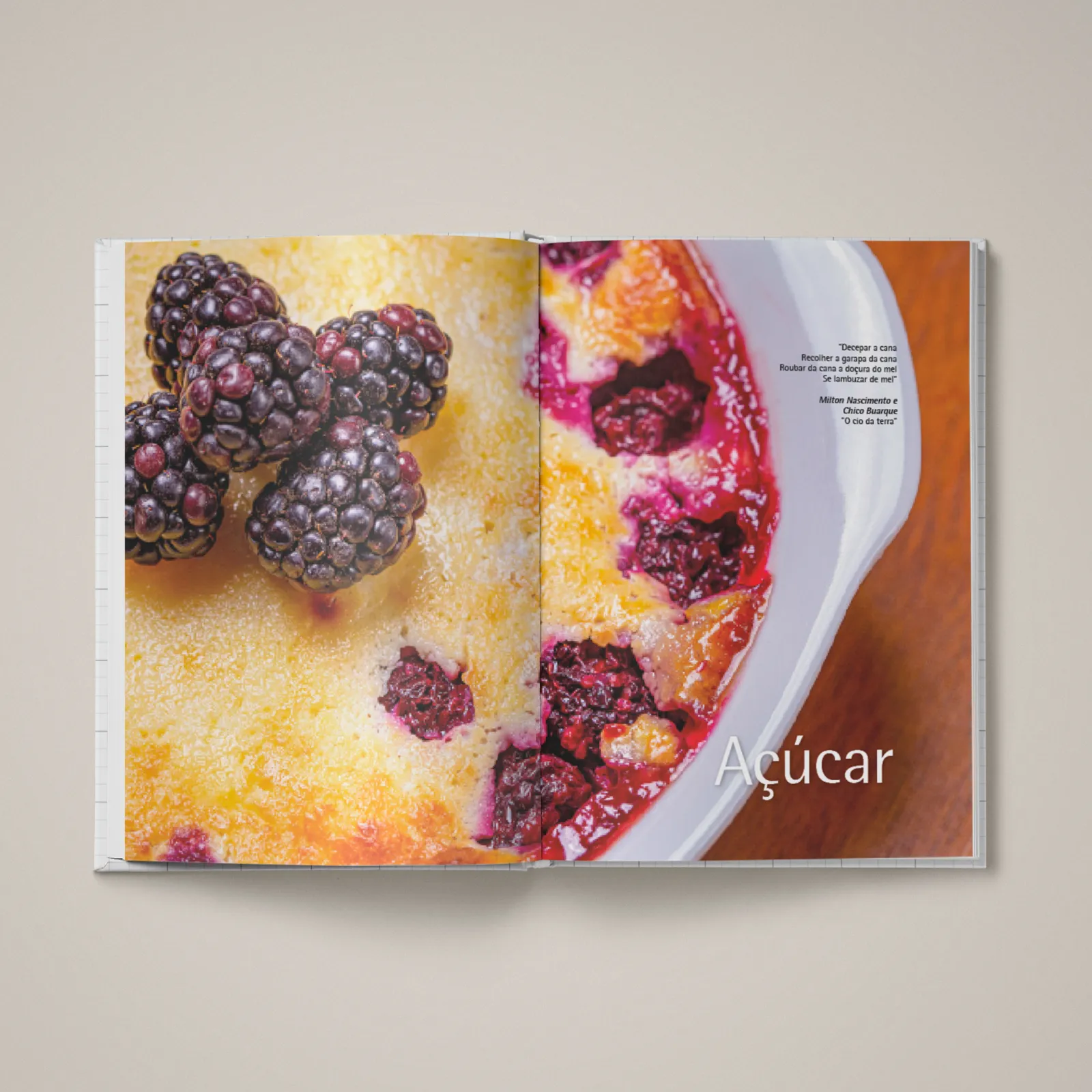 Livro Açúcar, Álcool e Vinagre - foto 3