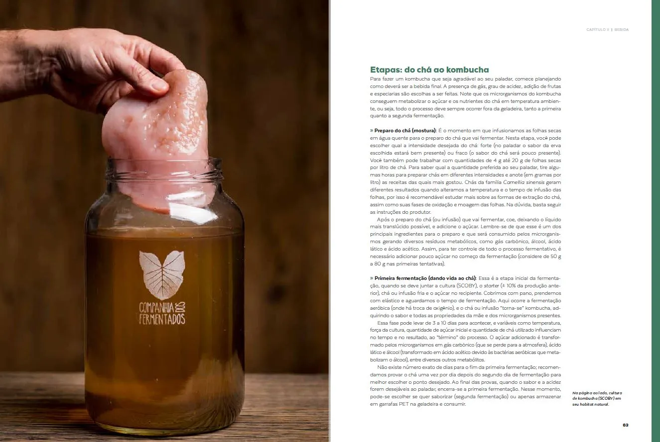 Livro Fermentação a Brasileira - foto 5