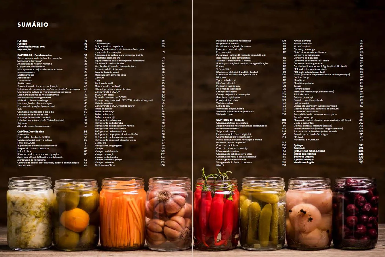 Livro Fermentação a Brasileira - foto 6